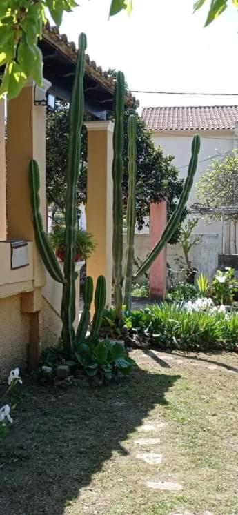 Roula'S House Villa Nymfai Ngoại thất bức ảnh