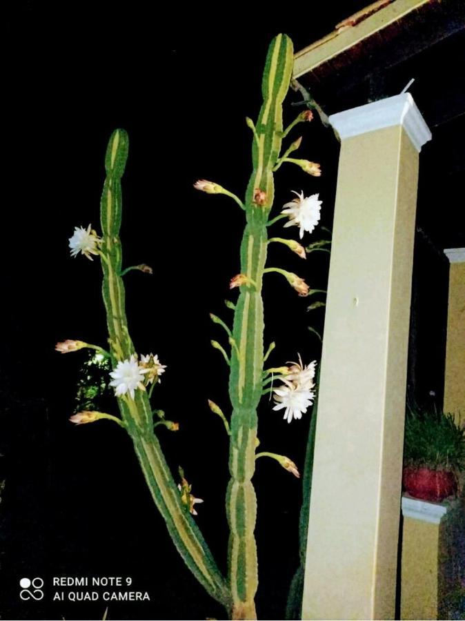 Roula'S House Villa Nymfai Ngoại thất bức ảnh