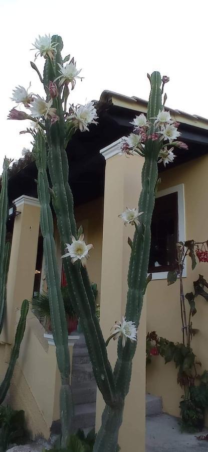 Roula'S House Villa Nymfai Ngoại thất bức ảnh